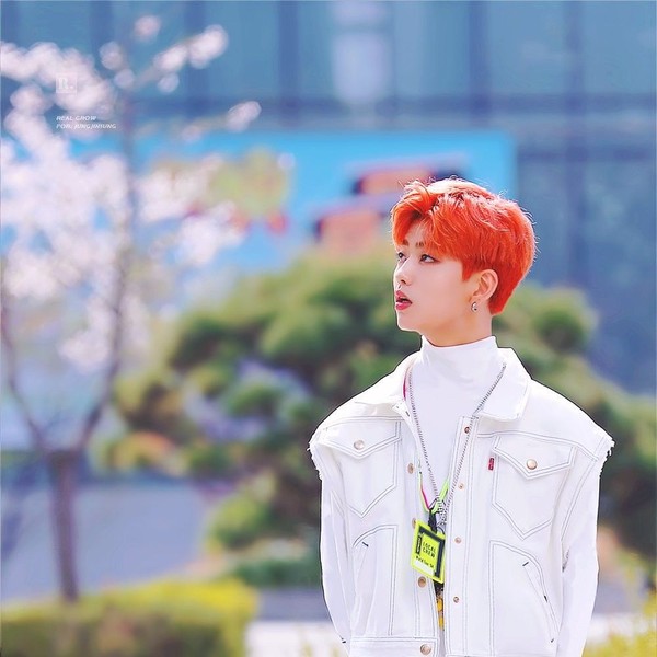 Popular profile picture of Jung Jinsung (1THE9) loved by fans