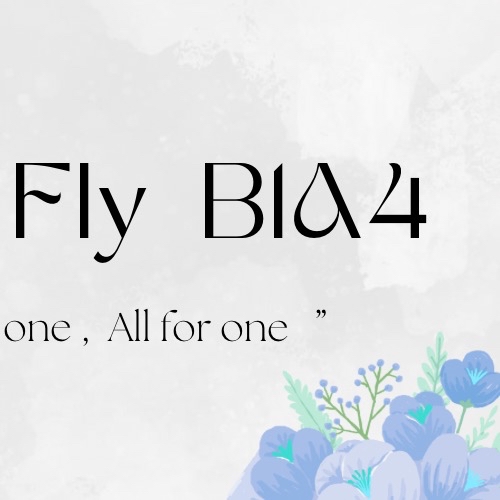Recent activity shot of B1A4