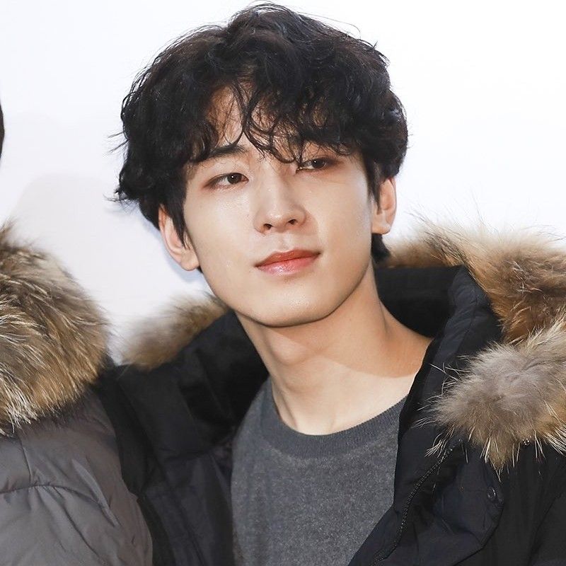 세븐틴 팬이 찍은 순간