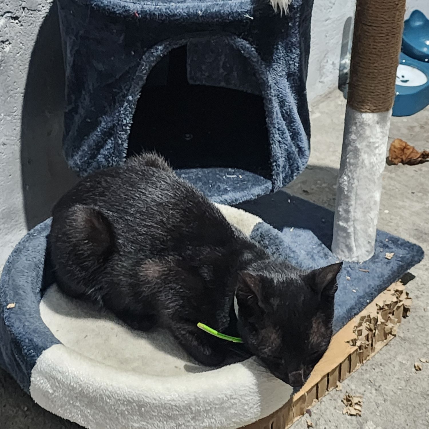 세븐틴의 최신 사진