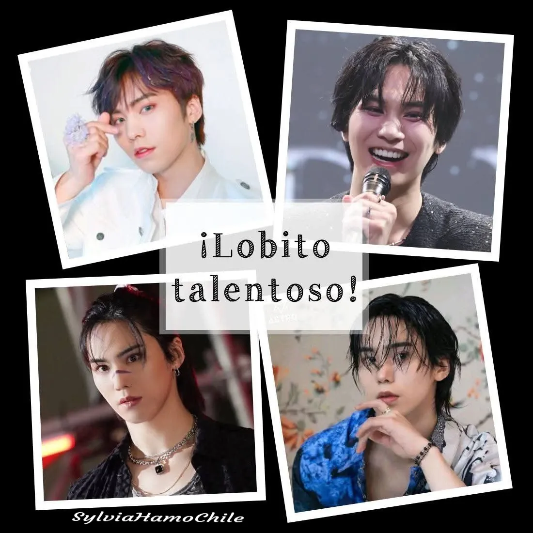 Latest photo of Rocky