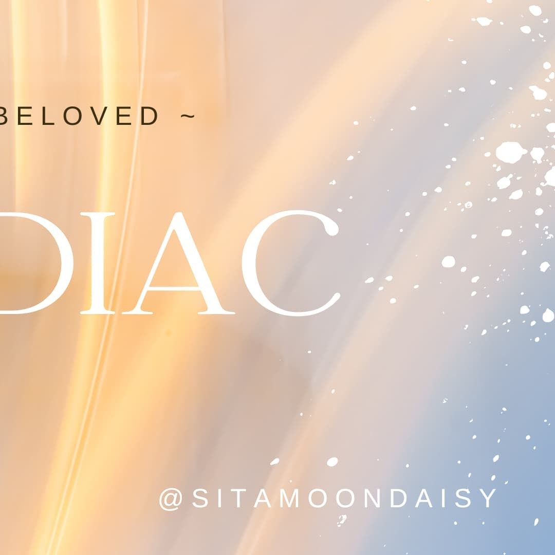 A moment captured by XODIAC's fan