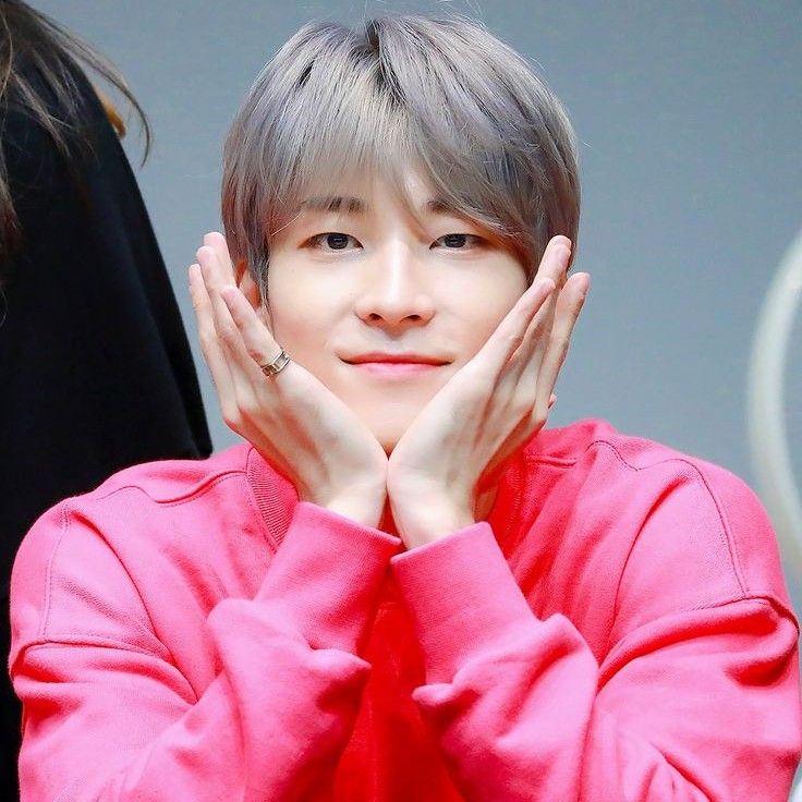 원우 (세븐틴) 최근 활동샷