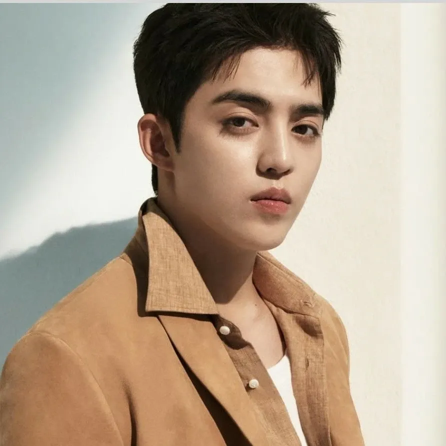 Recent activity shot of S.Coups (SEVENTEEN)