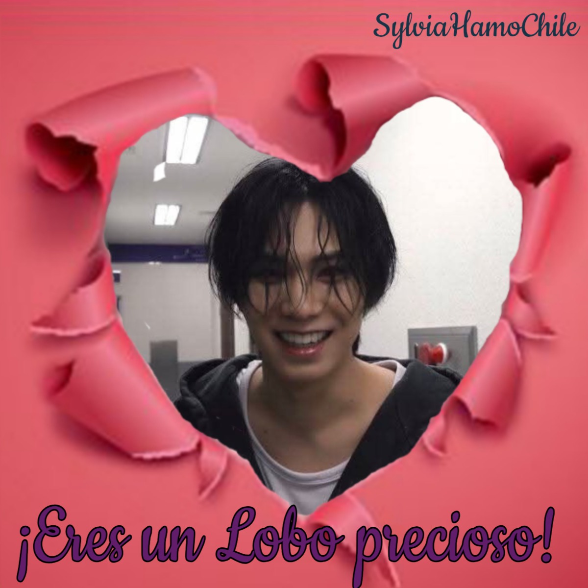 A moment captured by Rocky's fan