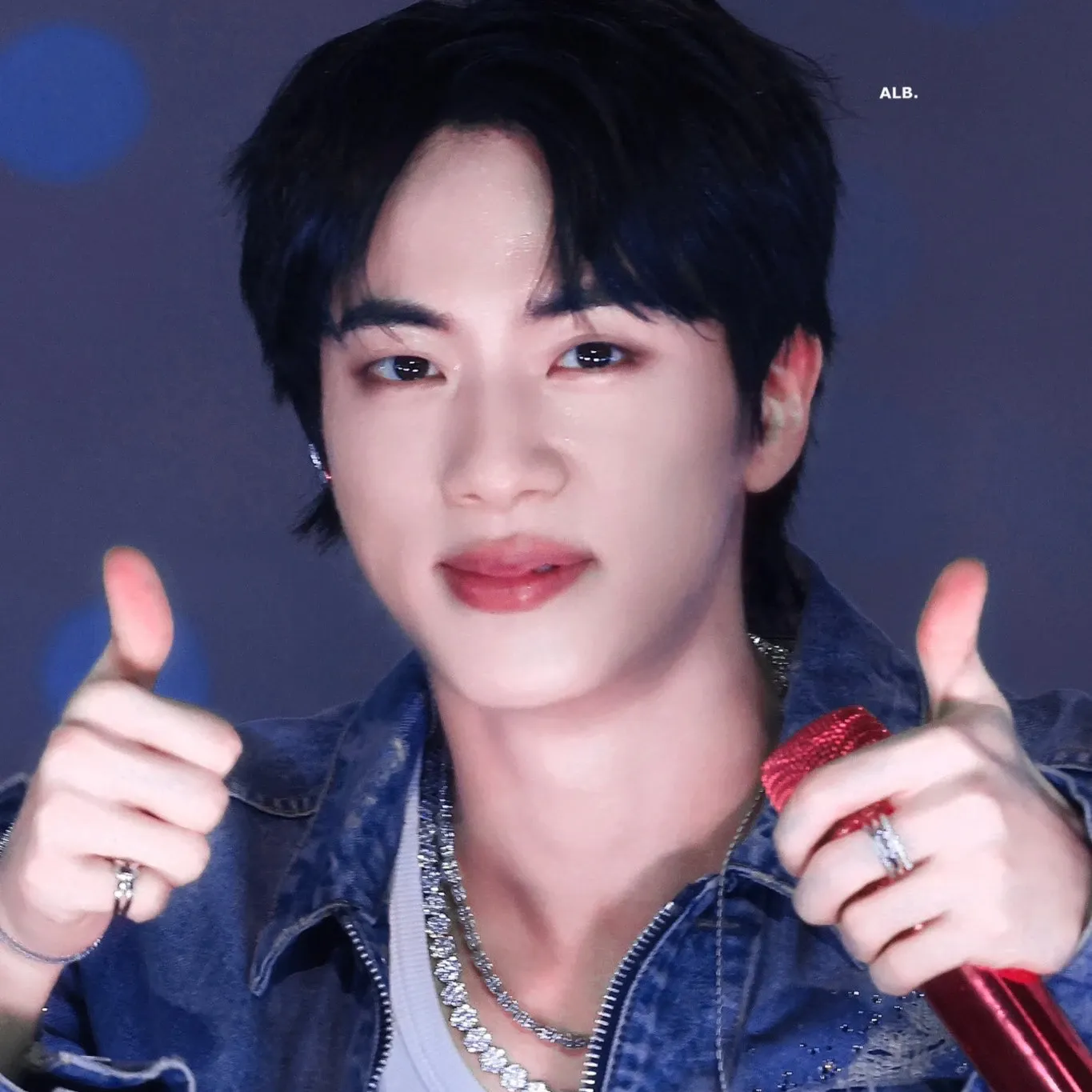 A moment captured by Jin (BTS)'s fan