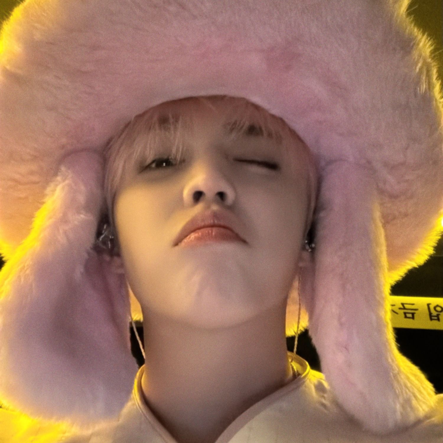 SEVENTEEN粉絲拍下的瞬間