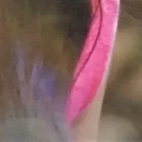 金佳蓝的最新照片