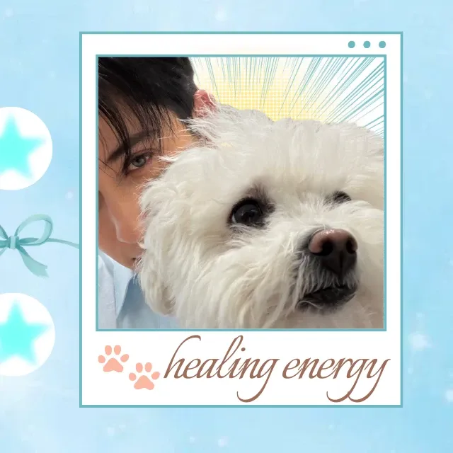 A moment captured by Alejandro (SANTOS BRAVOS)'s fan