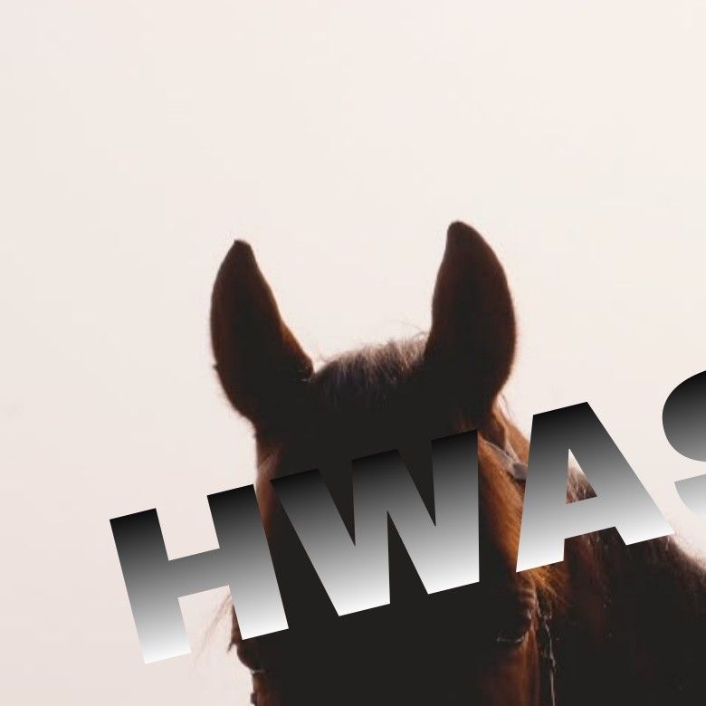 Behind-the-scenes cut of Hwasa (MAMAMOO)