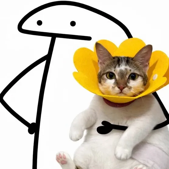 A moment captured by Yumeki's fan