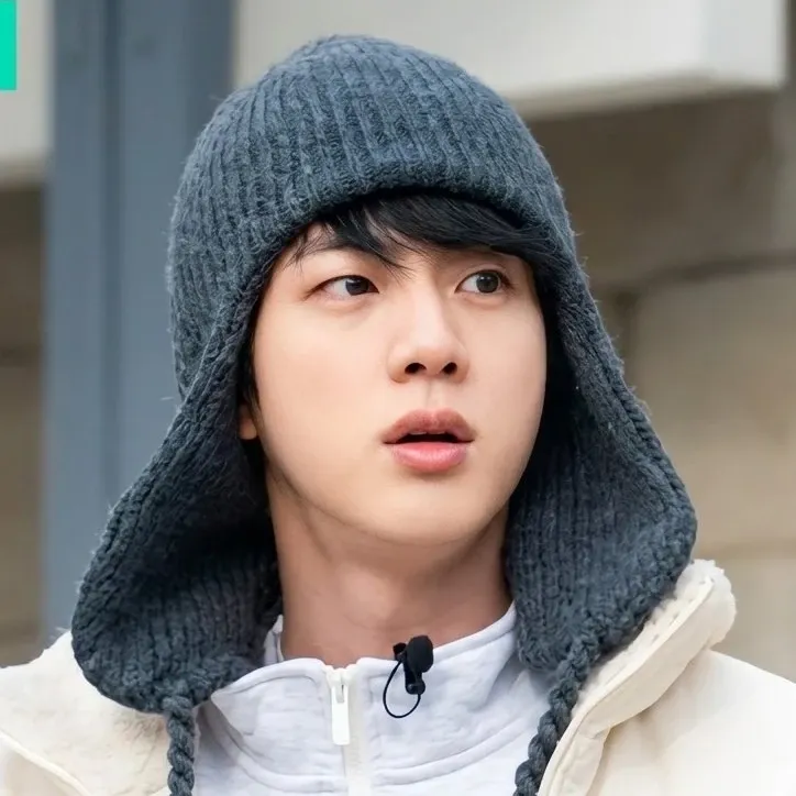 진 (방탄소년단) 팬이 찍은 순간