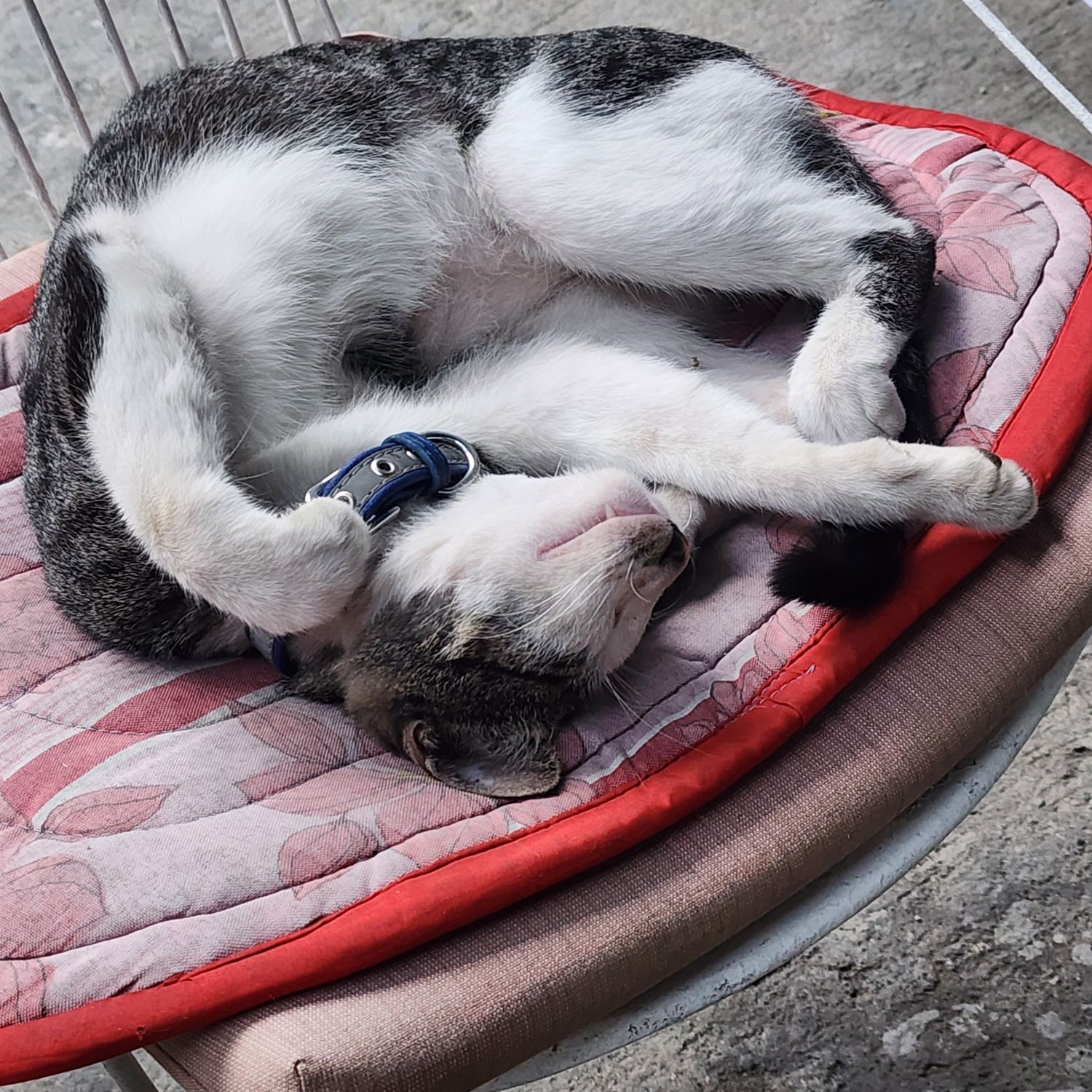 Recent activity shot of SOUL (P1Harmony)