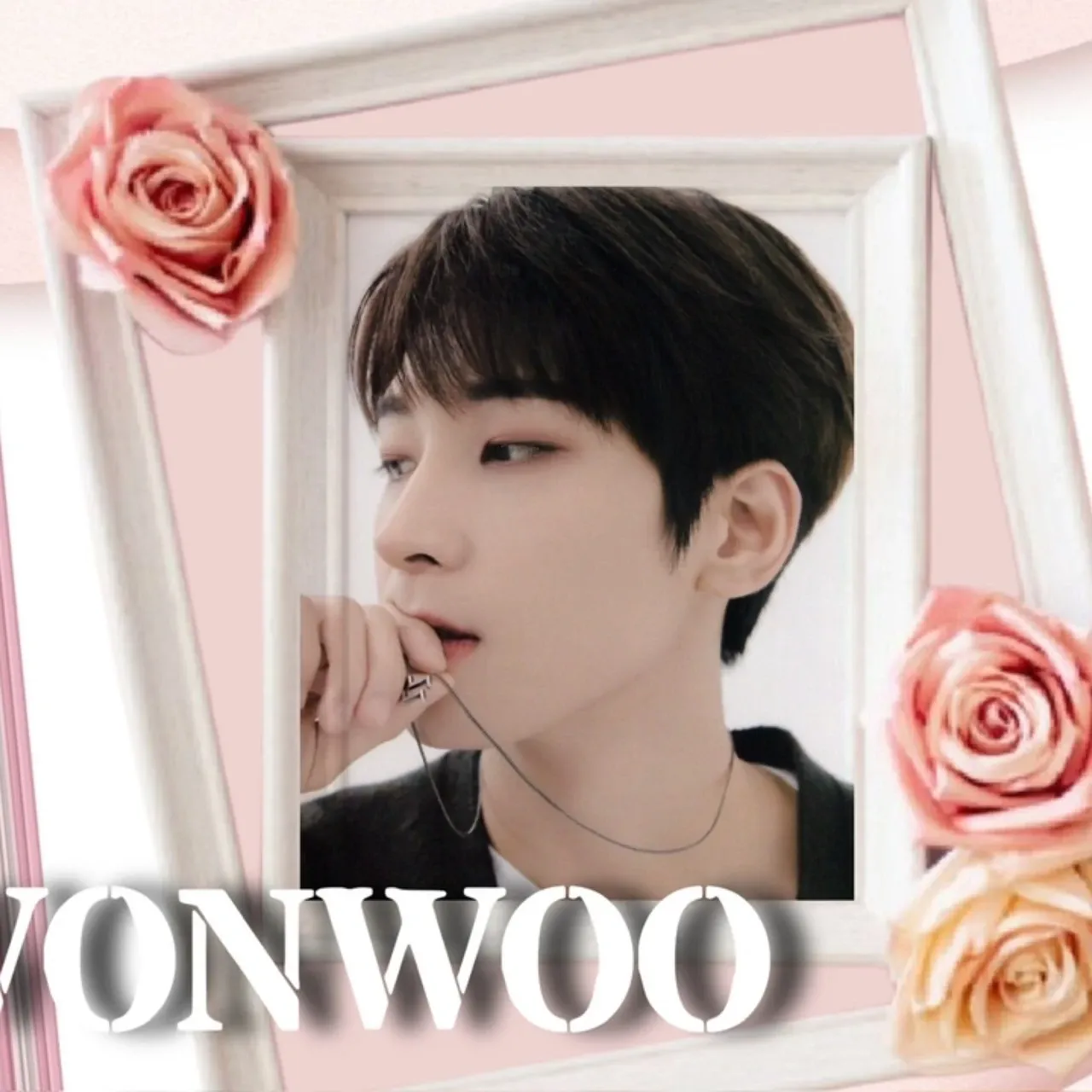 원우 (세븐틴) 최근 활동샷