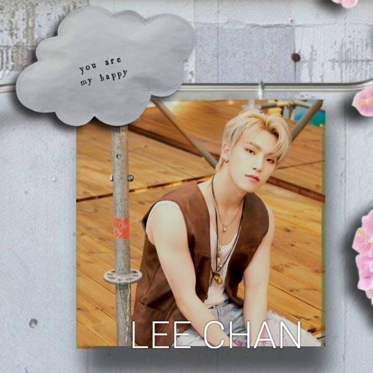 A moment captured by Dino (SEVENTEEN)'s fan