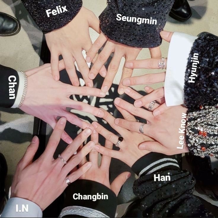 Stray Kids 최근 활동샷