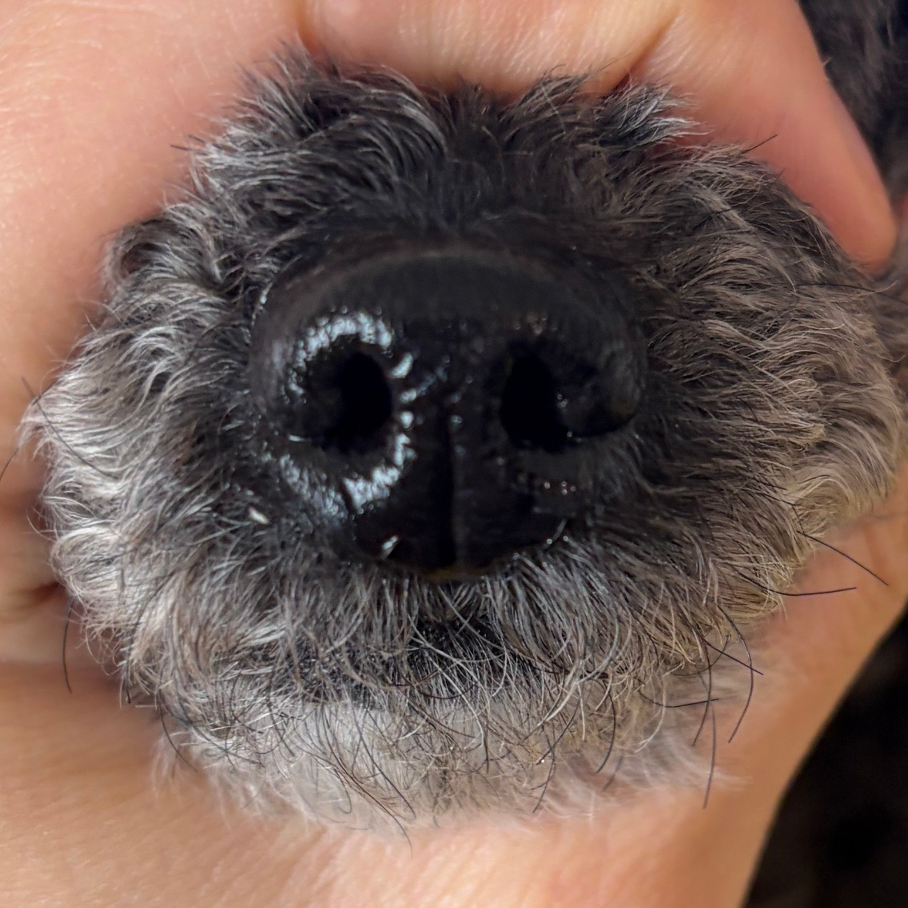 EXO의 최신 사진