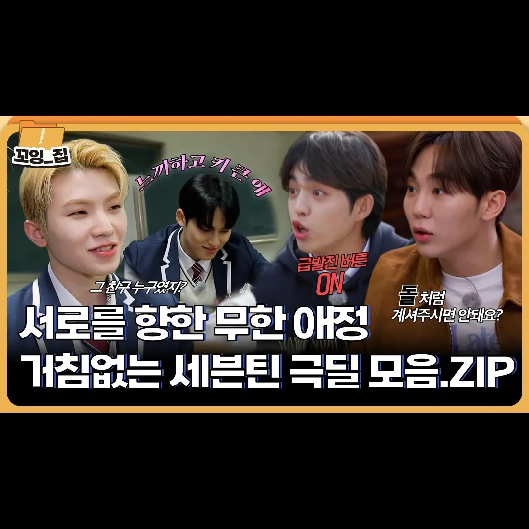 세븐틴 팬이 찍은 순간