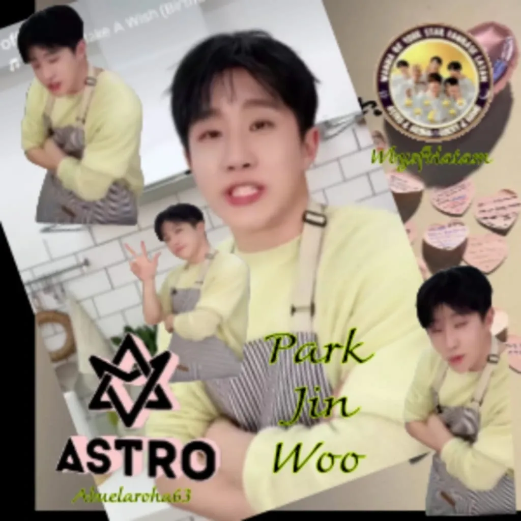 아스트로 팬이 찍은 순간