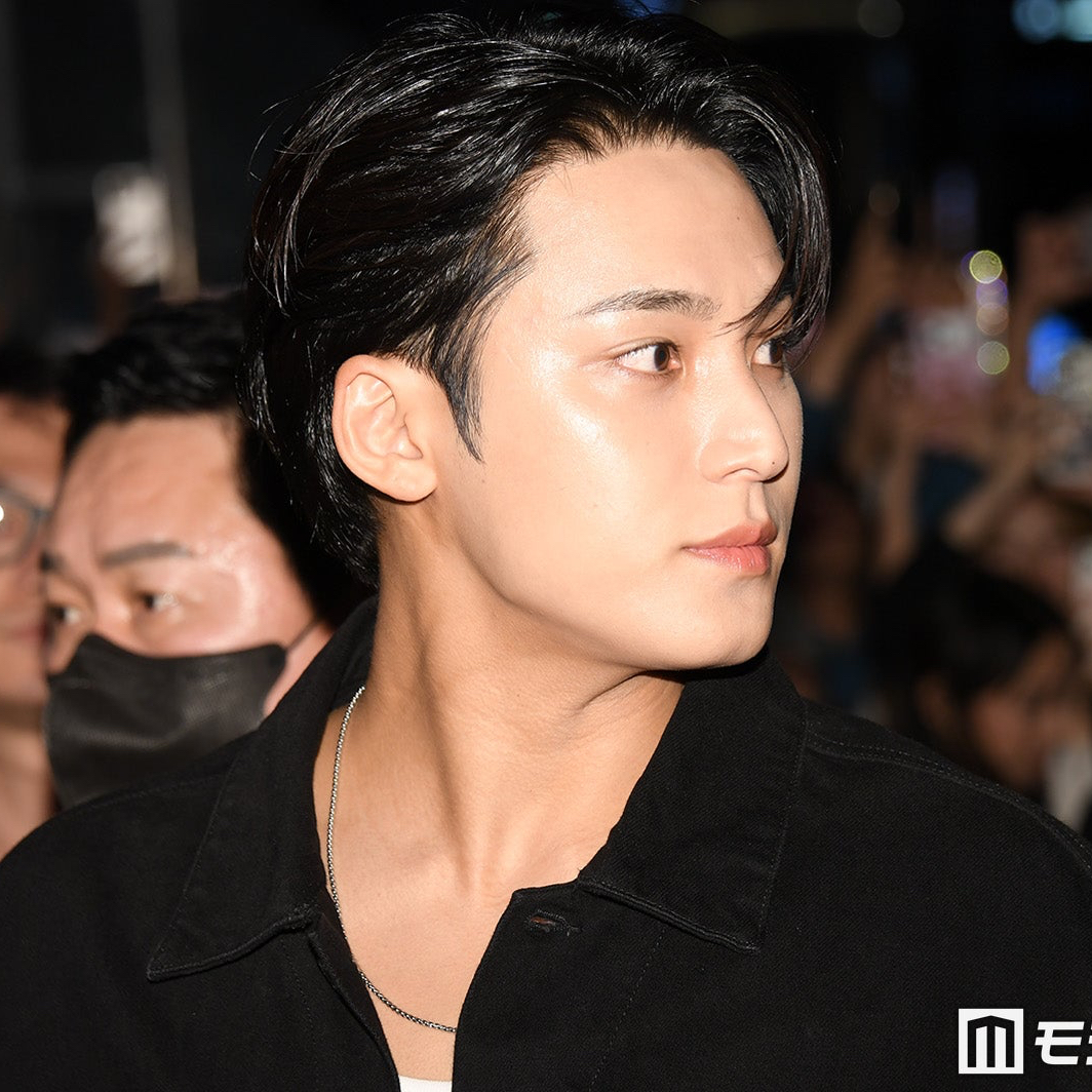 A moment captured by Mingyu (SEVENTEEN)'s fan