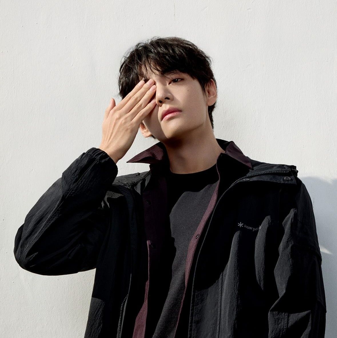 Potret di balik layar V (BTS)