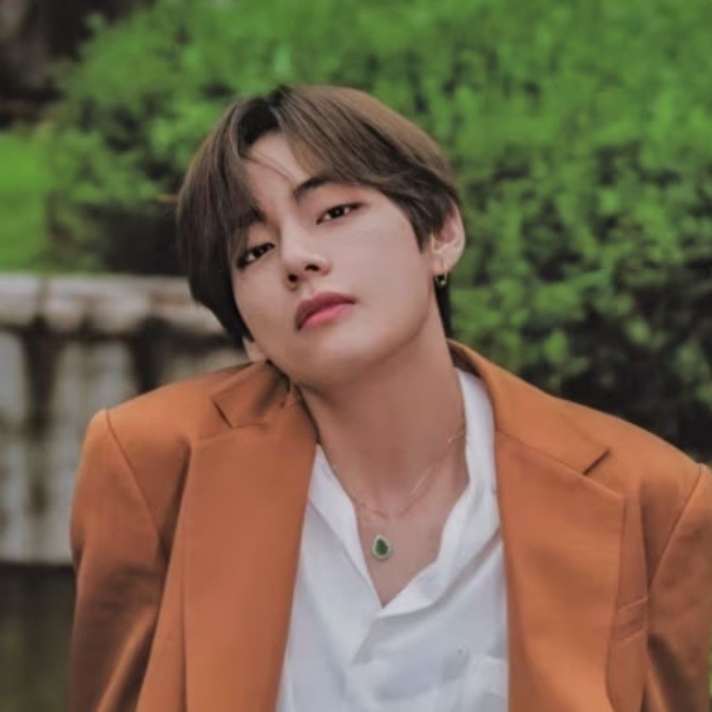 V (防彈少年團)粉絲拍下的瞬間