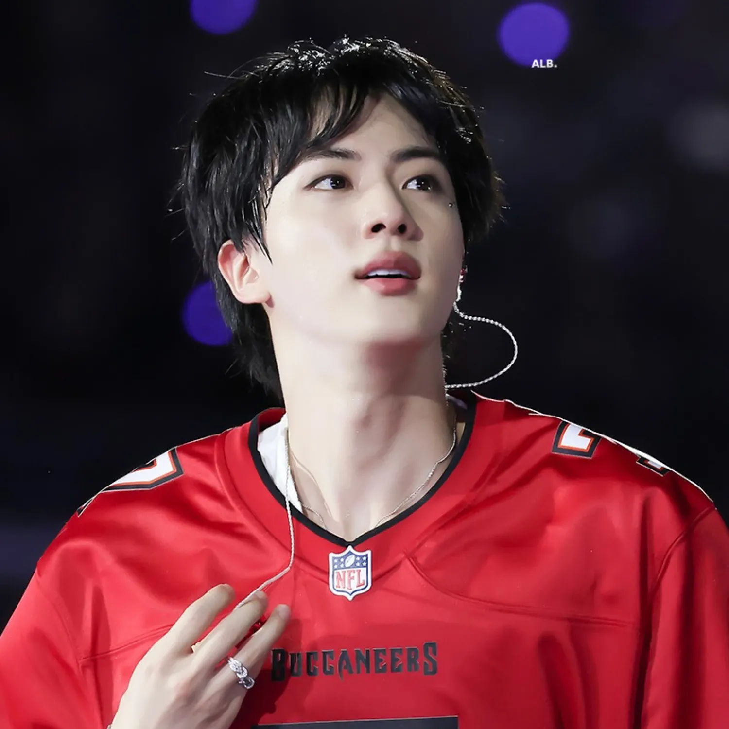 진 (방탄소년단) 팬이 찍은 순간