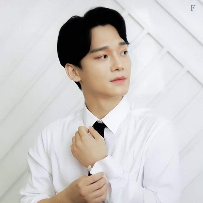 Chen (EXO)粉絲拍下的瞬間