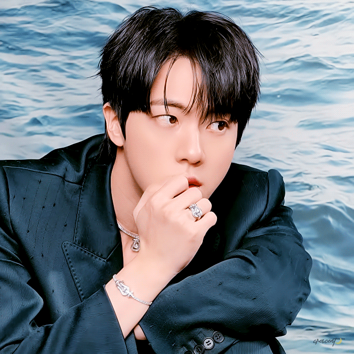 진 (방탄소년단) 팬이 찍은 순간