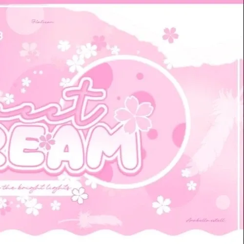 A moment captured by AleXa's fan