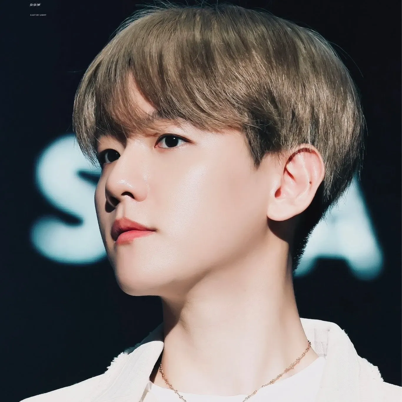 伯賢 (EXO)粉絲拍下的瞬間