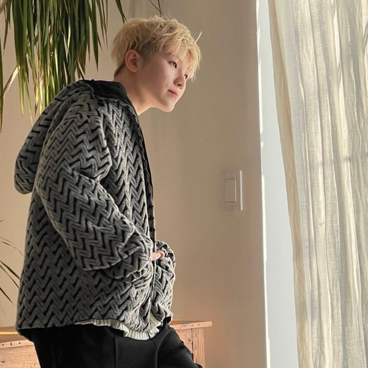 Recent activity shot of Woozi (SEVENTEEN)