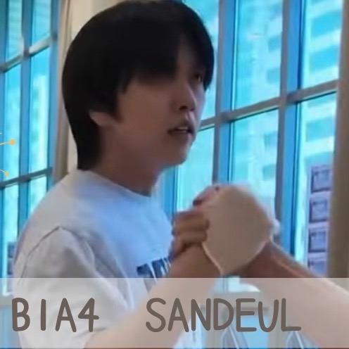 A moment captured by Sandeul (B1A4)'s fan
