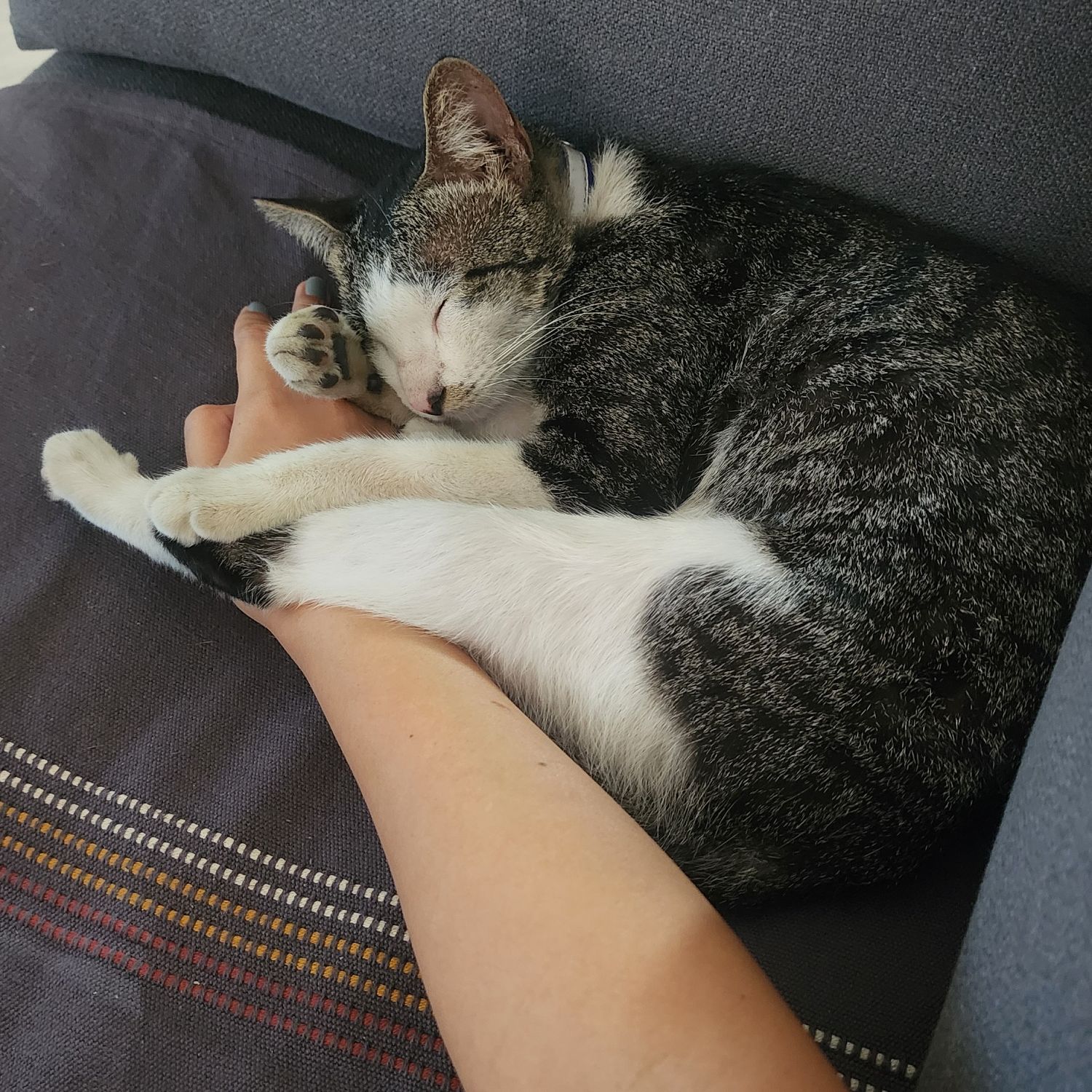 Potret di balik layar SEVENTEEN