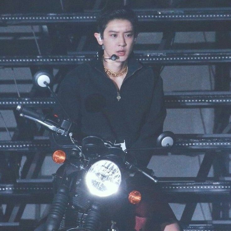 燦烈 (EXO)的最新照片