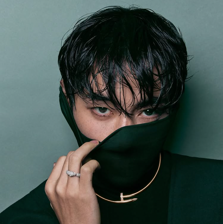 뷔 (방탄소년단) 팬이 찍은 순간