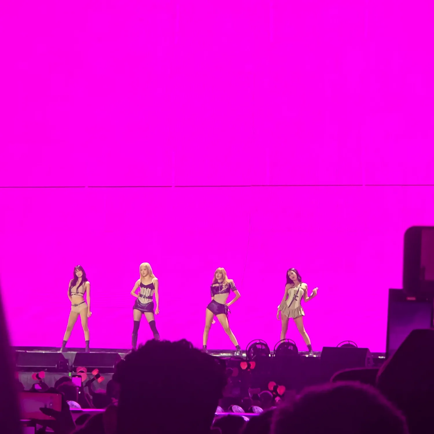 Momen yang diabadikan oleh penggemar BLACKPINK