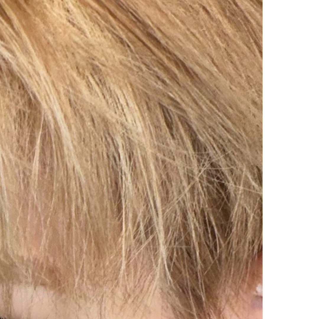 Board的最新活動照片