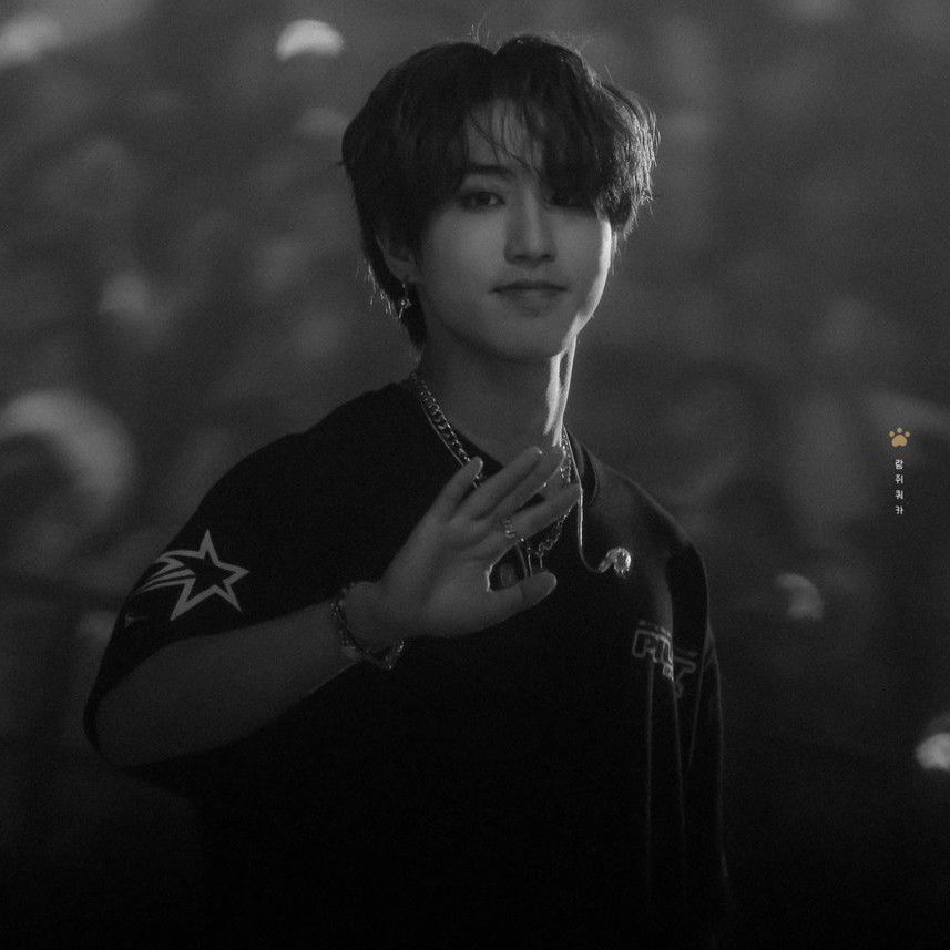 A moment captured by HAN (Stray Kids)'s fan