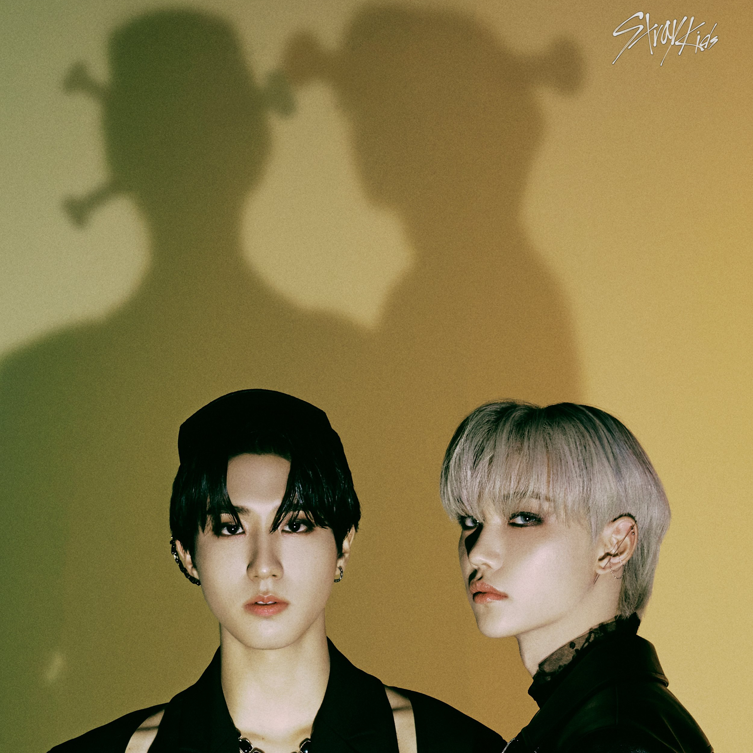 Stray Kids 팬이 찍은 순간