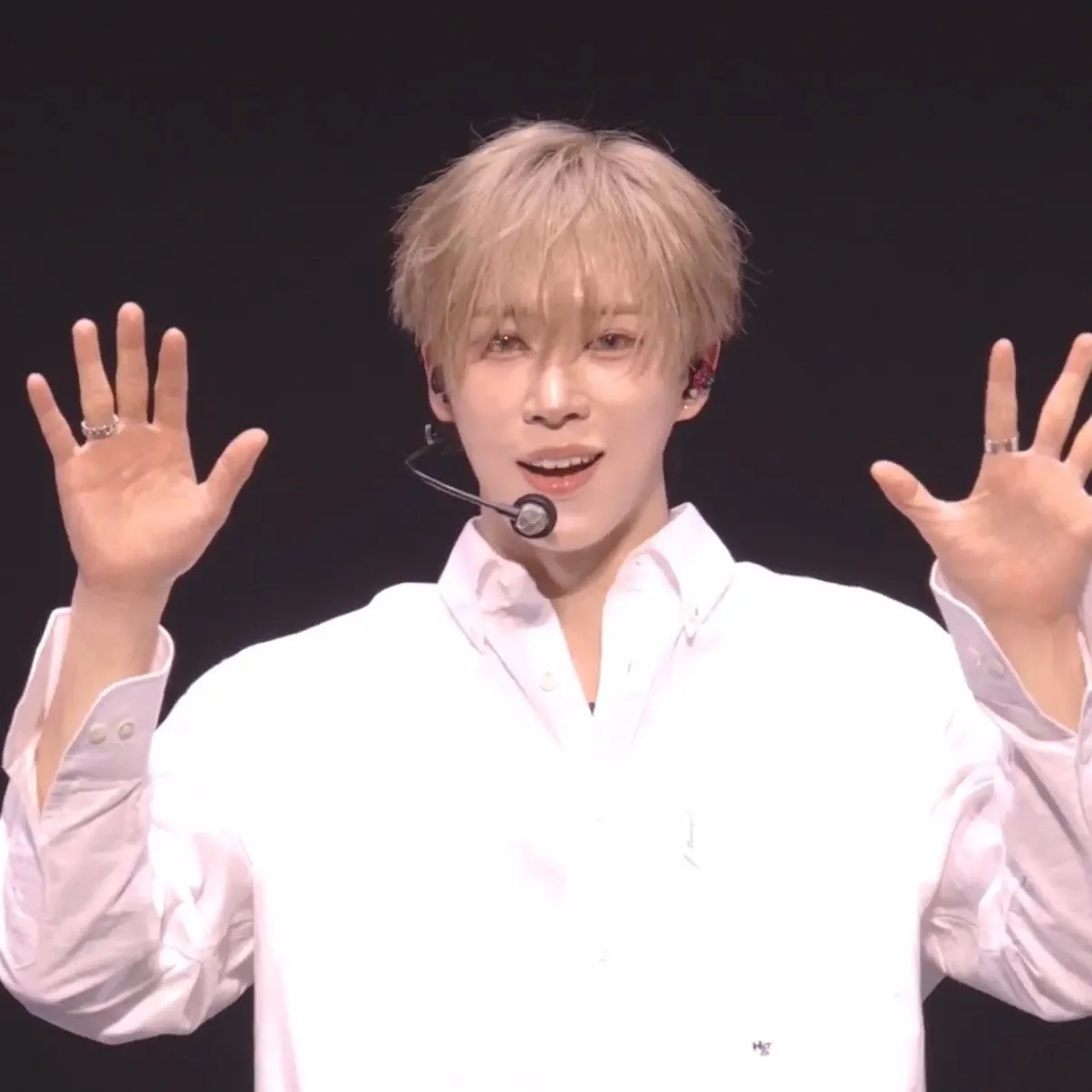 Latest photo of Arno (ALPHA DRIVE ONE)