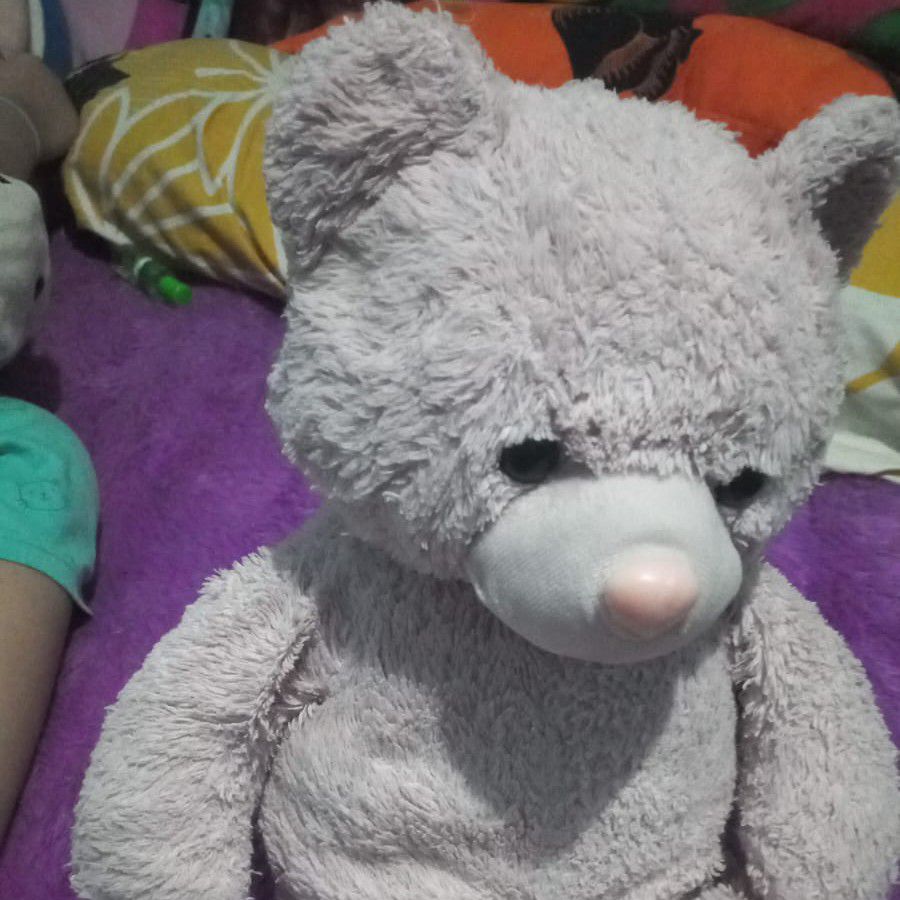 EXO粉丝拍下的瞬间