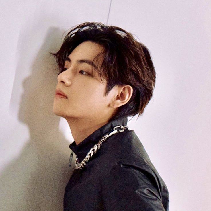 V (BTS)の舞台裏ショット