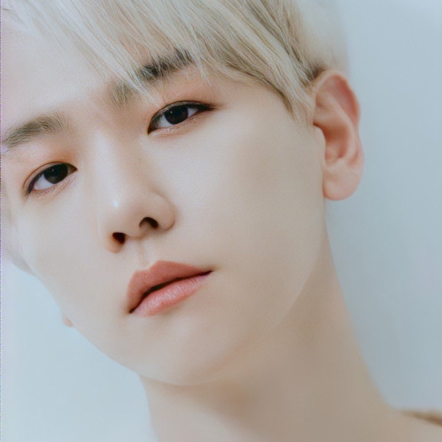 伯賢 (EXO)粉絲拍下的瞬間