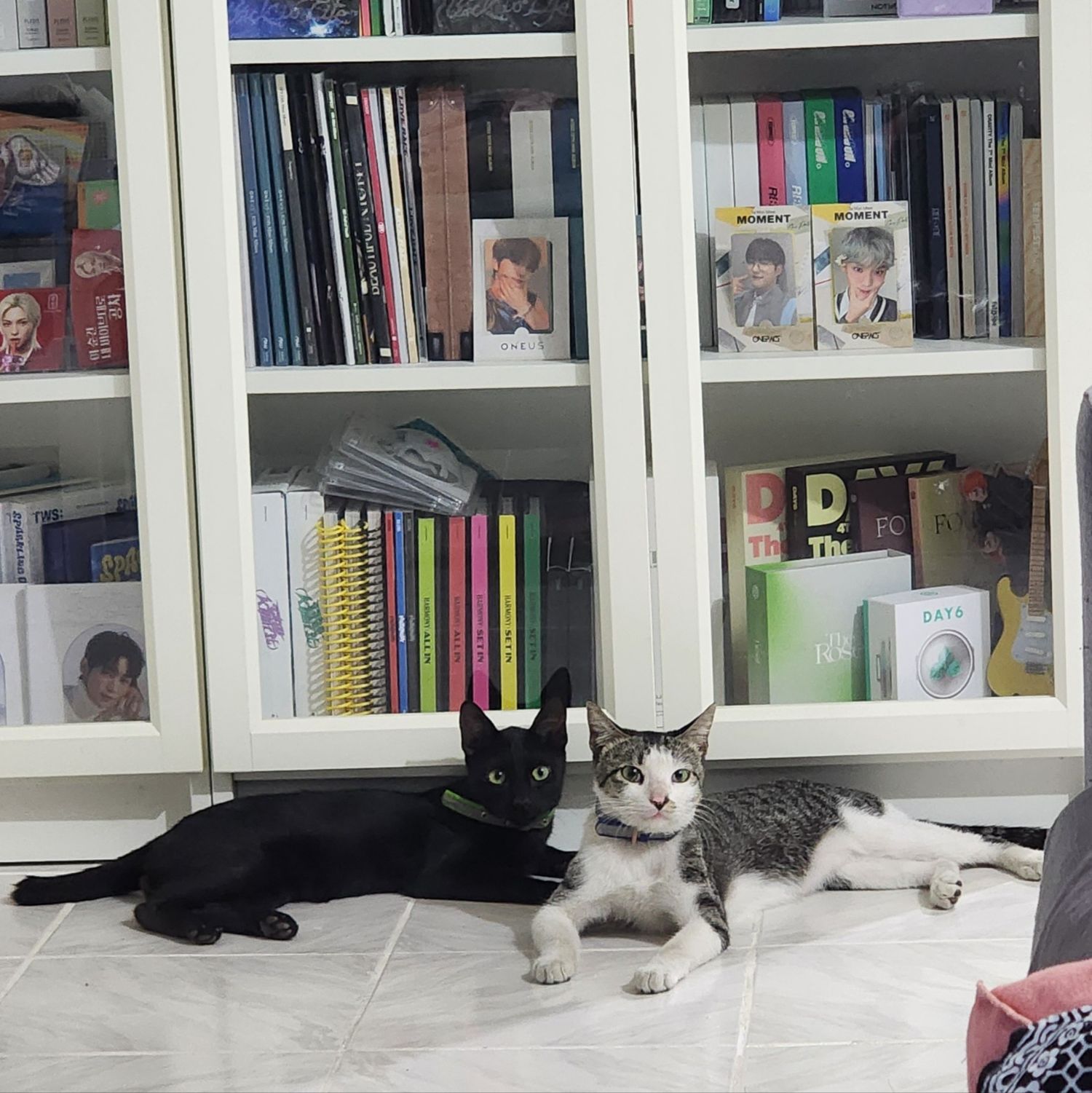 SEVENTEEN的最新照片