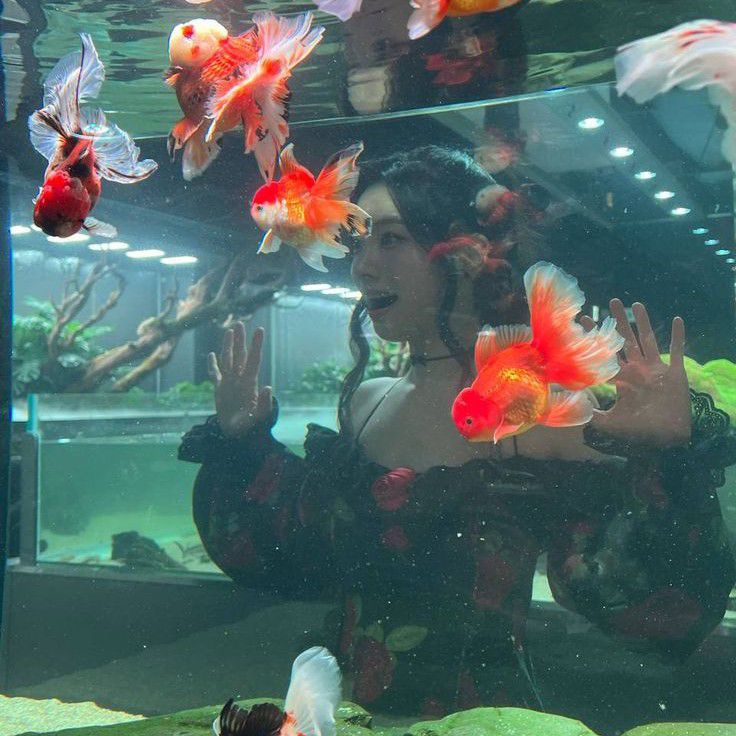 Momen yang diabadikan oleh penggemar TWICE