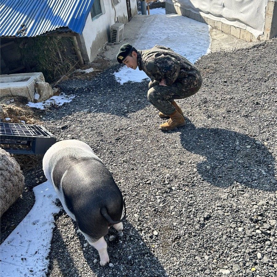 Recent activity shot of Baekho