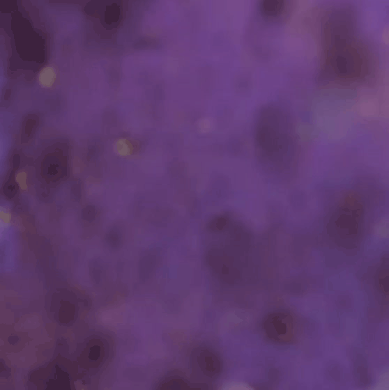 Momen yang diabadikan oleh penggemar Kihyun (MONSTA X)