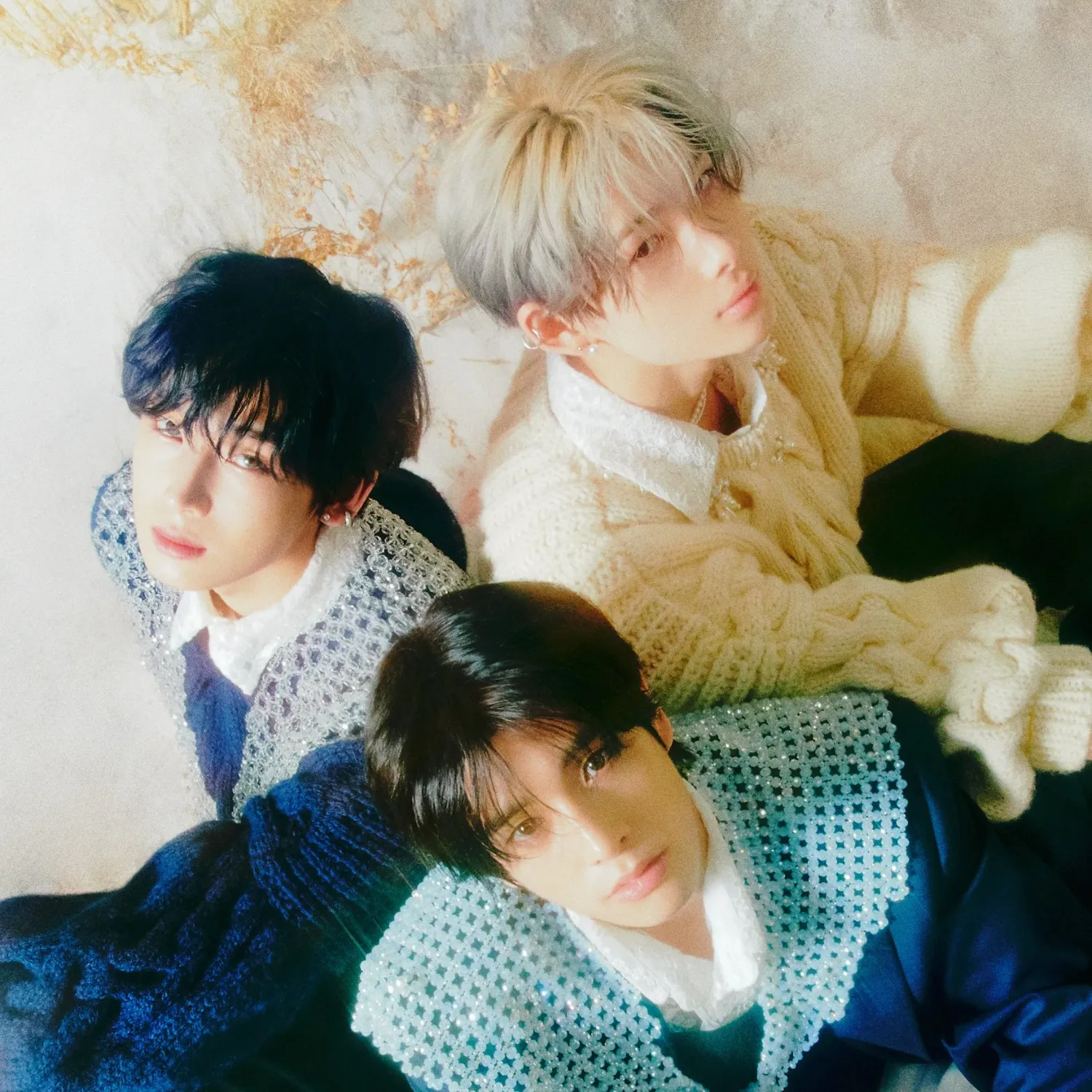 ENHYPEN粉絲拍下的瞬間