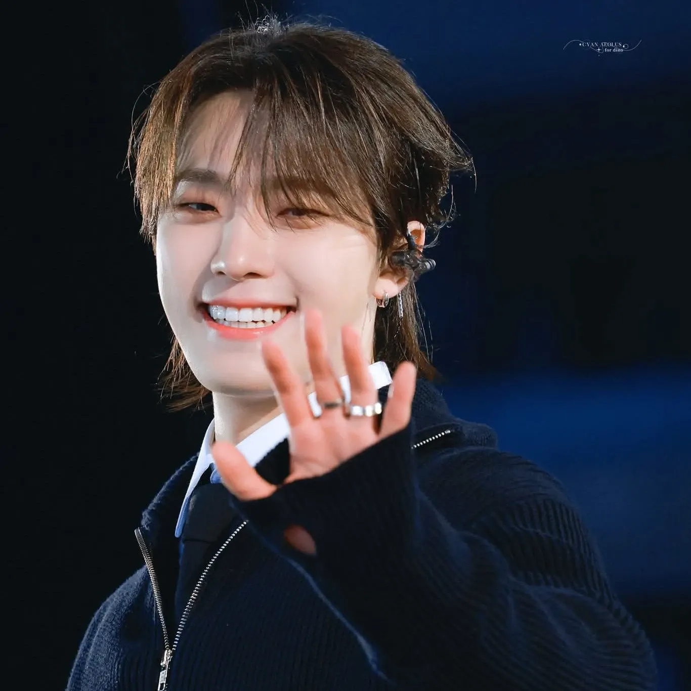 세븐틴 팬이 찍은 순간